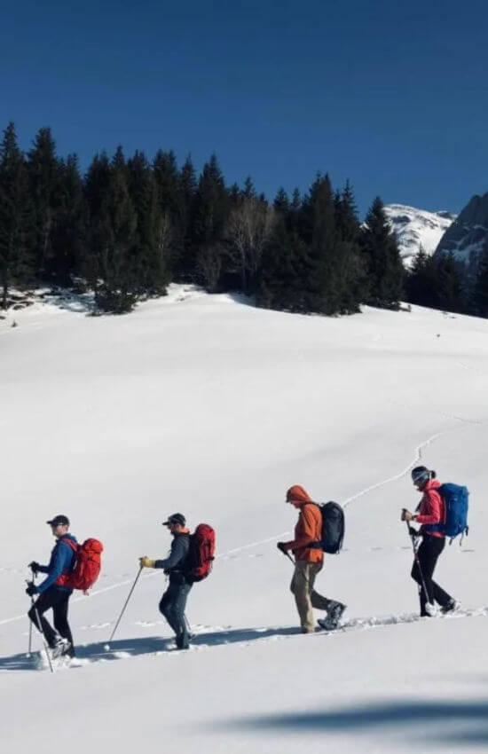International Mountain Leader Training Winter (New Standard)