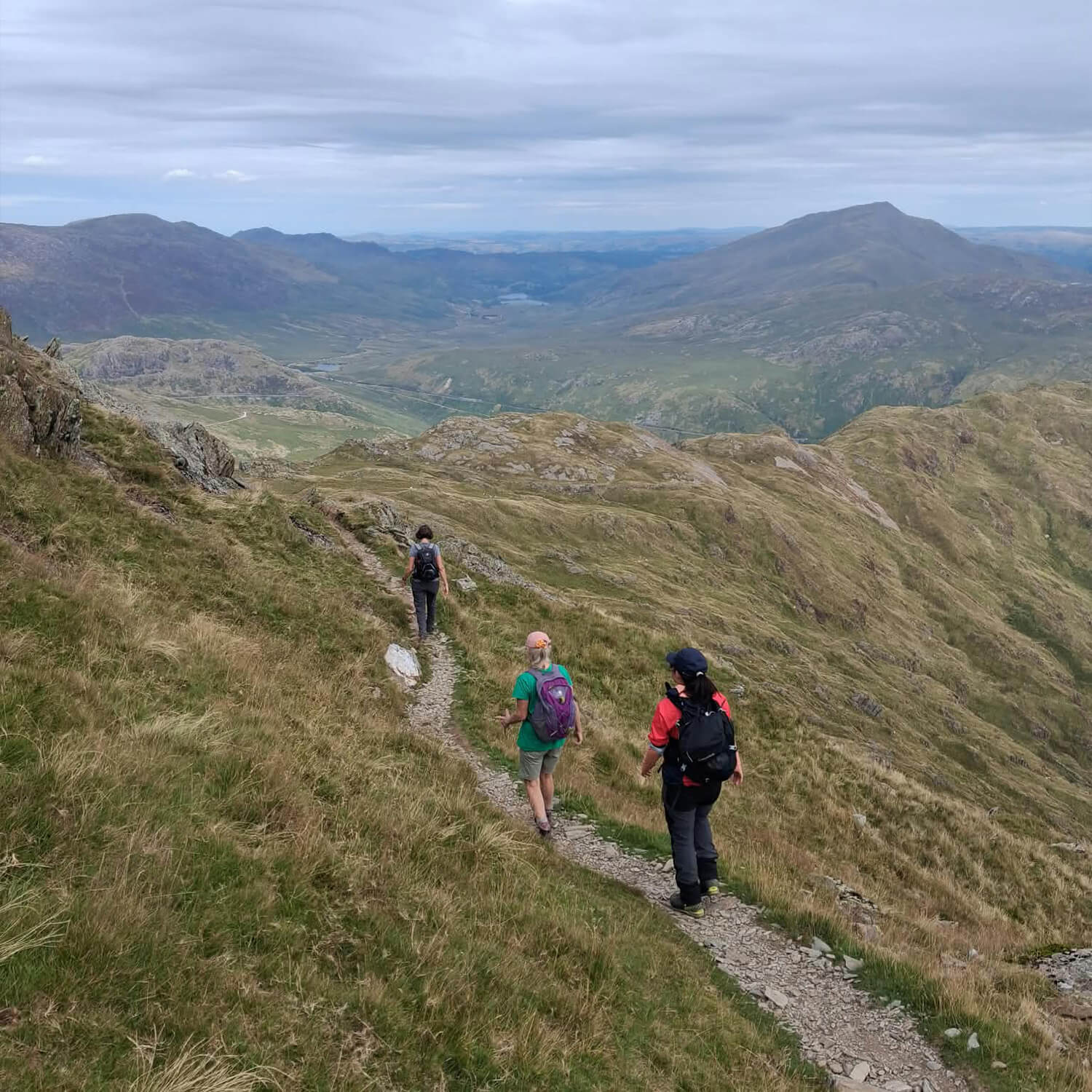 Guided Mountain Walk for Families