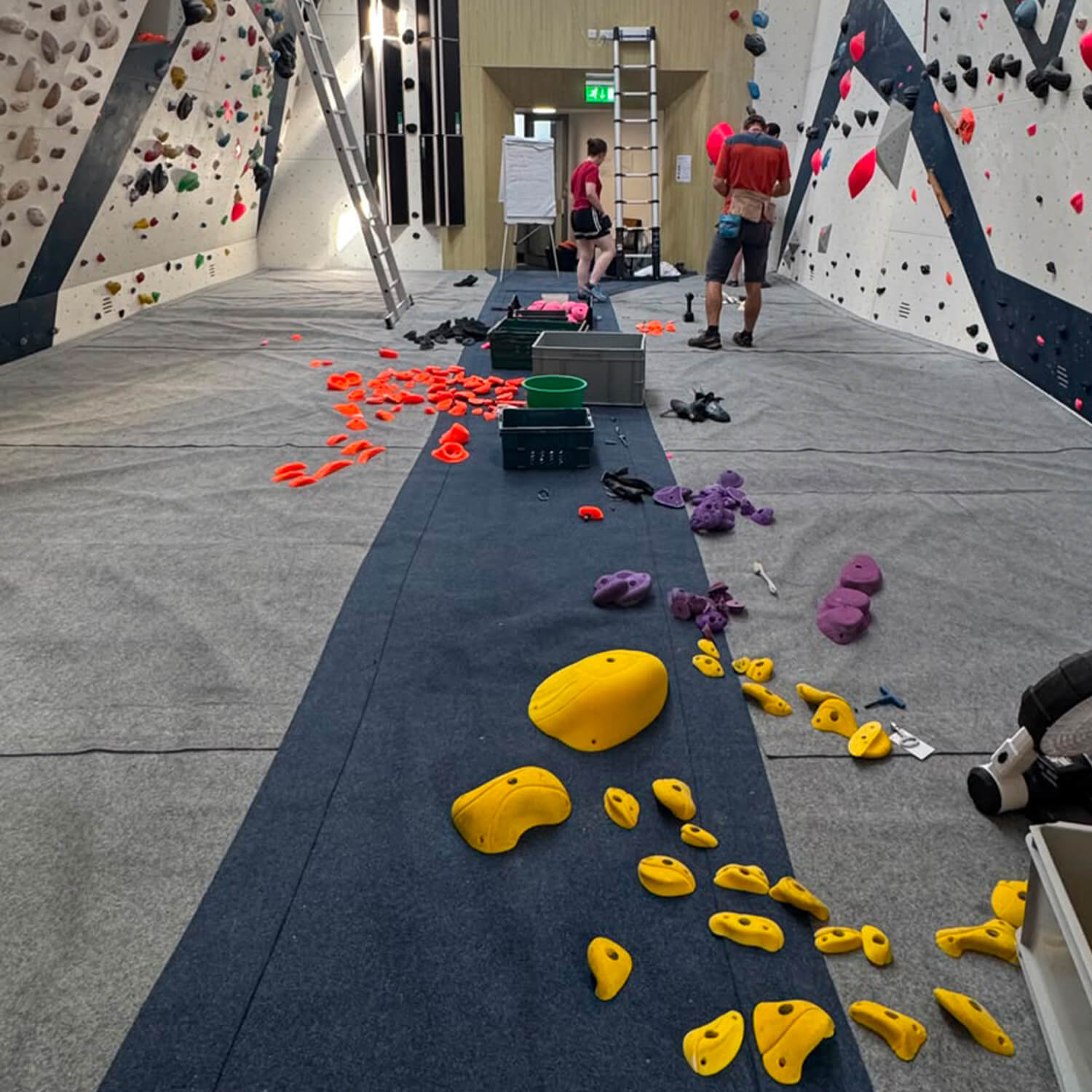 Routesetting for Coaches